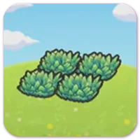 Tall Grass