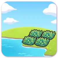 Seaside Tall Grass