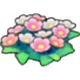 Wildflowers