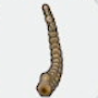 Tundra Fossil (tail)