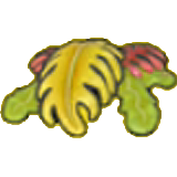 Seaweed