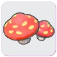 Cave mushrooms