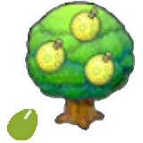 Aspear Seeds